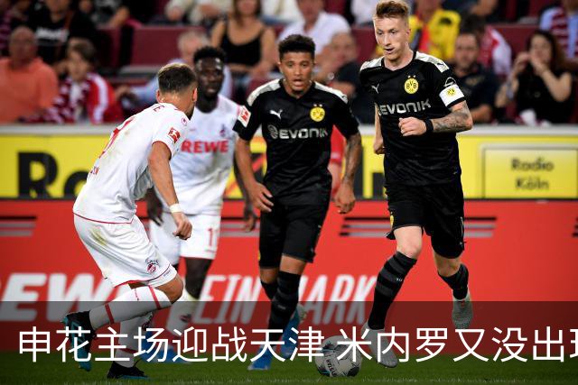申花主场迎战天津 米内罗又没出现在比赛名单