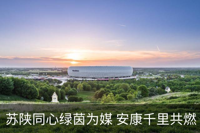 苏陕同心绿茵为媒 安康千里共燃“苏超”激情